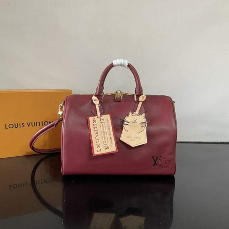 Picture of Louis Vuitton Handbags _SKUfw222509199fw